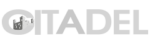 Citadel Security Agency