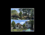 Jose’s Tree Service