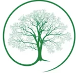 JN Arbor Care JN Arbor Care