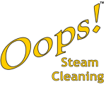 Oops! Steam Cleaning