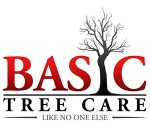 Basic Tree Care | Columbus Tree Removal